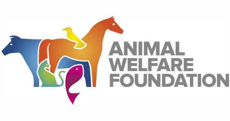 AWF reveals main topics for 2025 forum