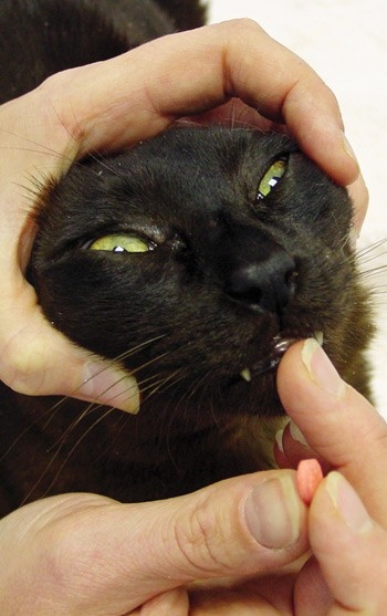 Hyperthyroidism treatment and long-term management options