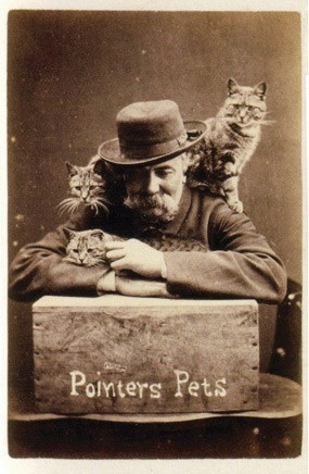 LOLCats and medieval memes