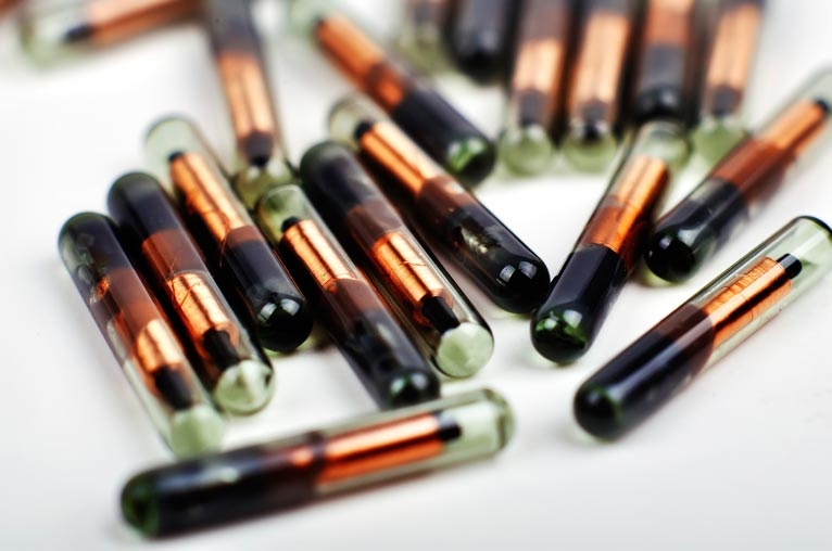 Microchips: everything your practice – and your clients – need to know