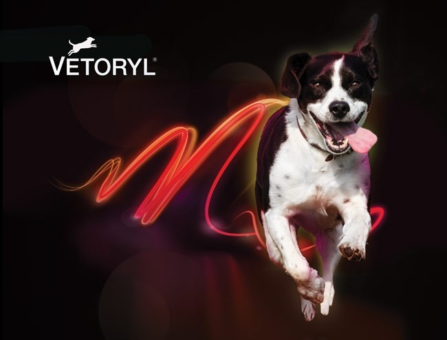 The treatment of Hyperadrenocorticism in dogs
