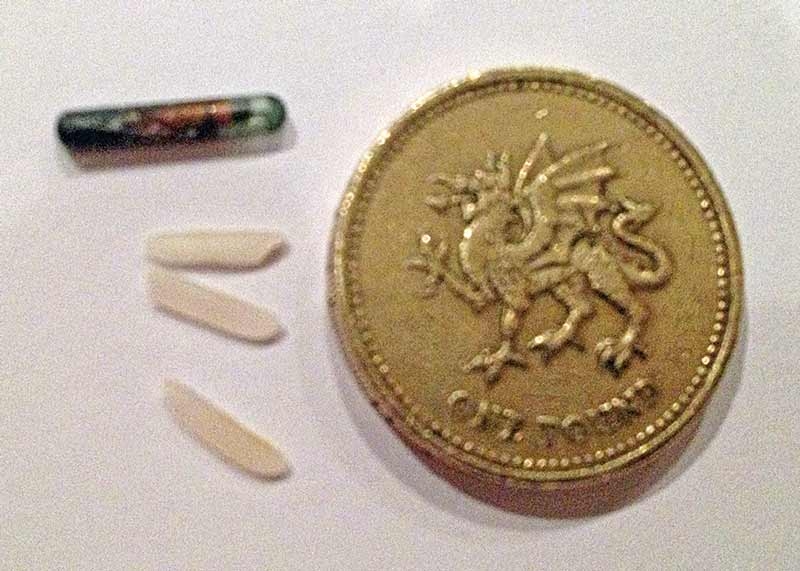 Microchipping dog legislation – role of veterinary profession