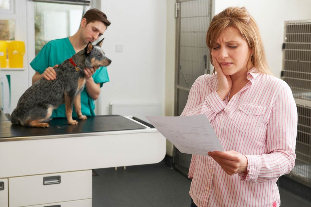 What the future really holds for pet insurance