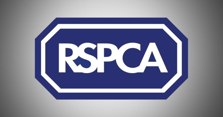New dog control plea after pregnant cat found dead in Grimsby park