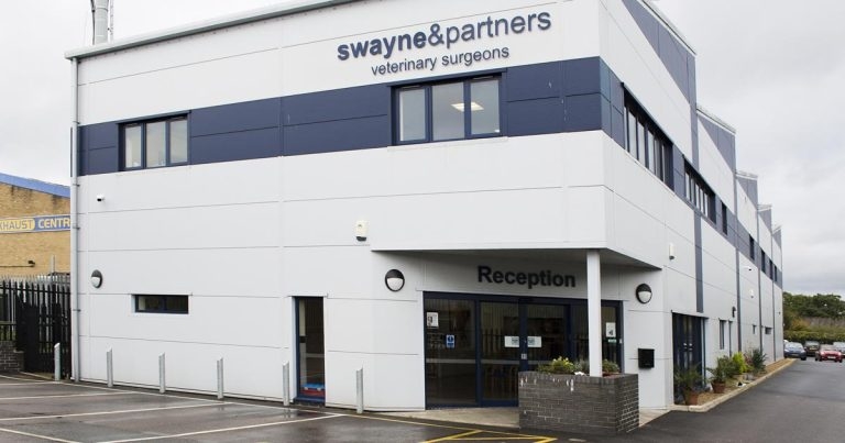 Practice profile: Swayne and Partners