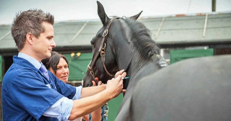 The Pony Club: leading a revolution?