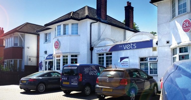 Private equity firm buys Medivet