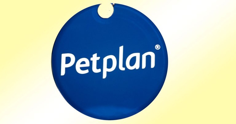Final chance to nominate for Petplan Veterinary Awards