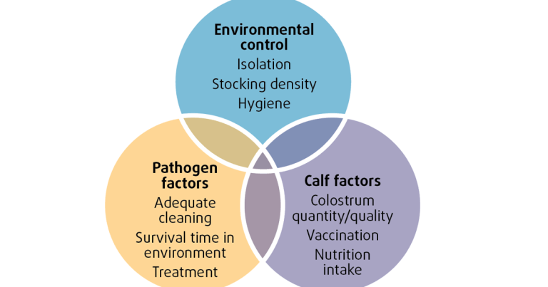 Neonatal calf diarrhoea: control and minimising transmission