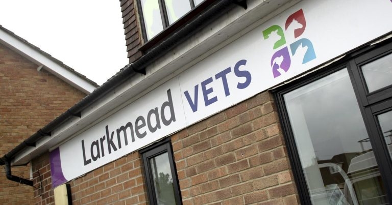 Practice Profile: Larkmead Veterinary Group