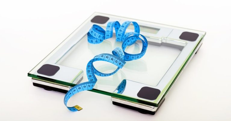 Dog obesity: a community study