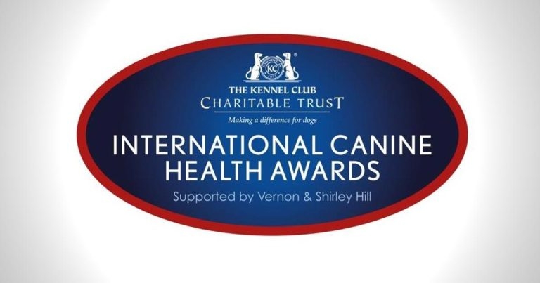 Last chance to nominate for Canine Health Awards 2020