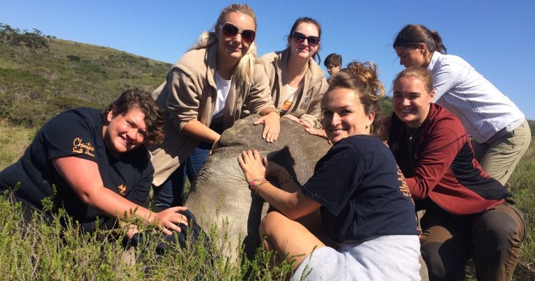 Volunteers needed for ‘wild’ programme in South Africa