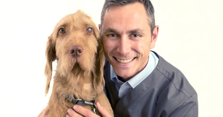 Vet Times Podcast, Ep 25: Mike Rhodes discusses companion animal ophthalmology