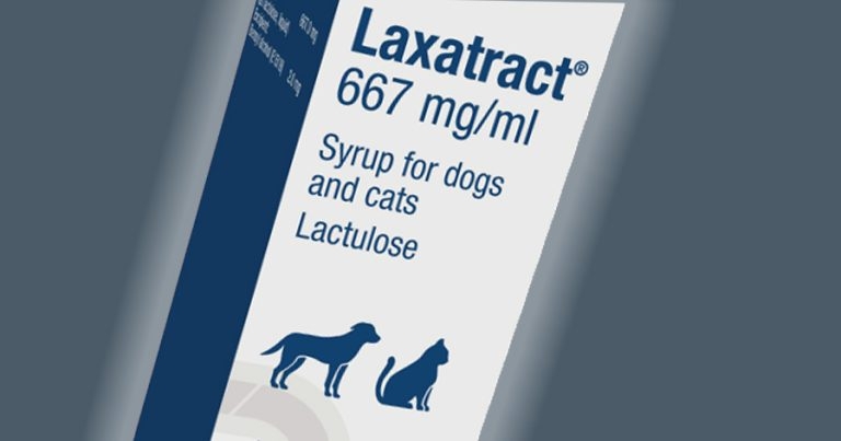 First veterinary licensed lactulose launches