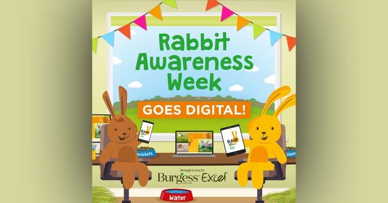 Rabbit Awareness ‘Week’ goes digital