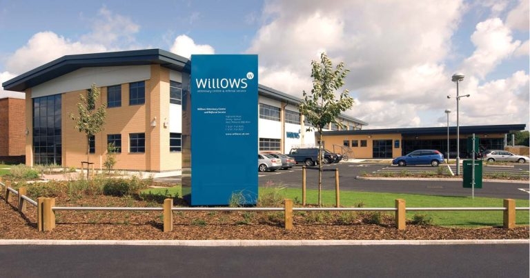 Practice Profile: Willows Veterinary Centre and Referral Service