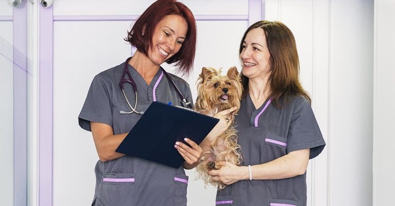 Practice Standards Scheme updated after review