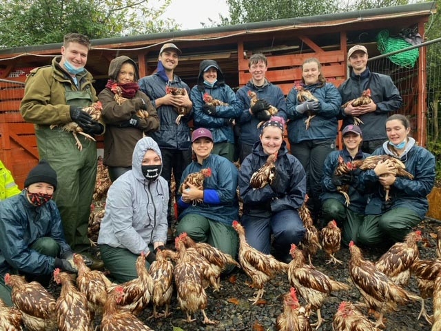 Student vets get hands-on with hens in need