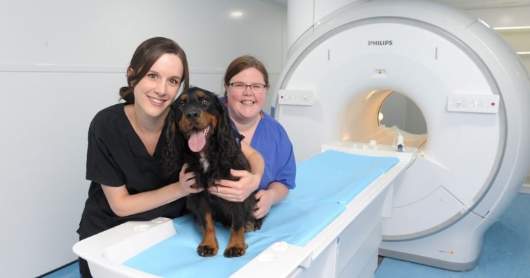 Somerset hospital invests £1.2m in ‘class-leading’ MRI scanner