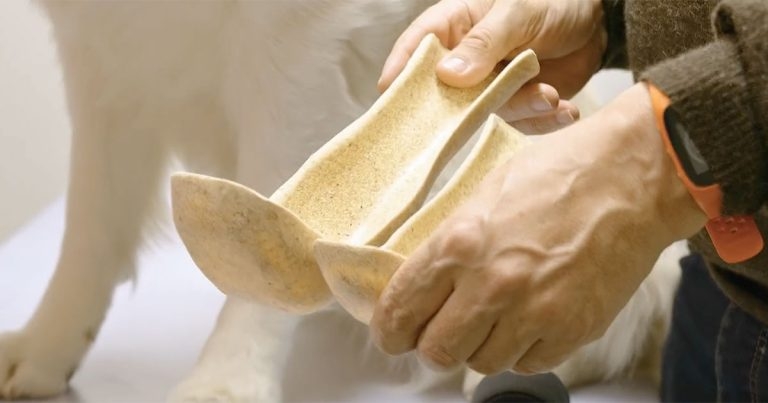 Promising new splint design would ‘return power to vets’