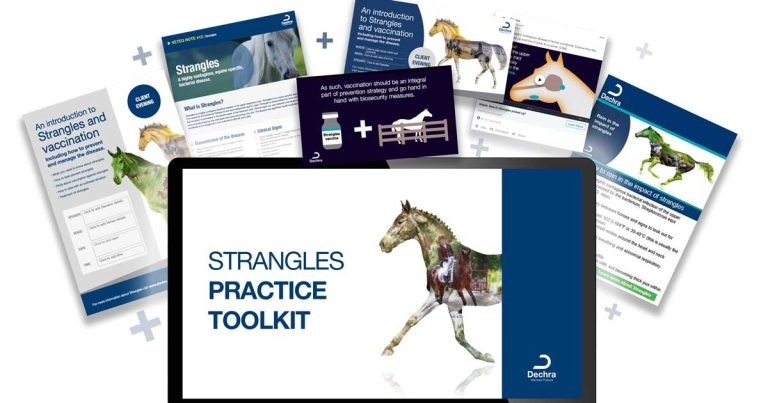 Dechra launches strangles toolkit to back vaccine