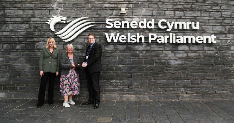 Campaigner welcomes Senedd support for corporate inquiry bid