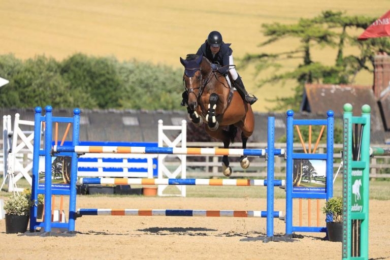 Investigating and treating poor performance in sport horses