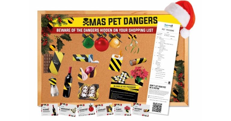 Festive help on offer to veterinary practices