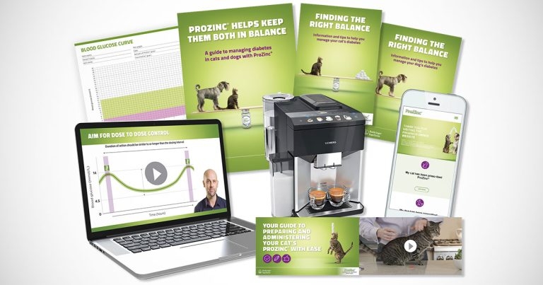 Webinar and toolkit launch to help vets manage pet diabetes