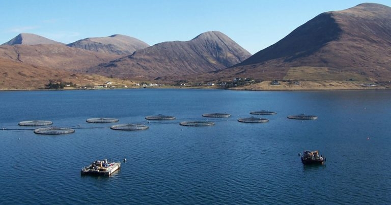 SRUC programme to upskill seafood sector 