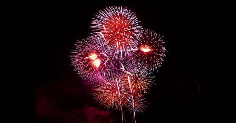 Ceva launches fireworks marketing support pack