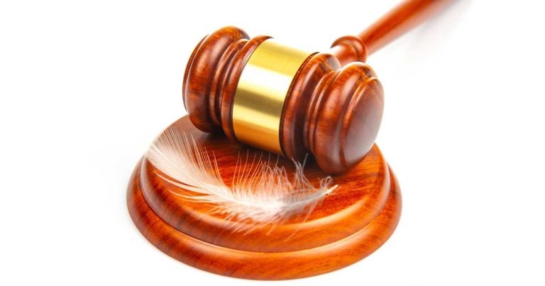 Vet reprimanded and warned over false avian flu inspection records