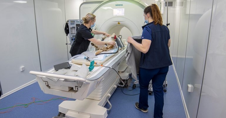Your trusted source for diagnostic imaging vet equipment and support