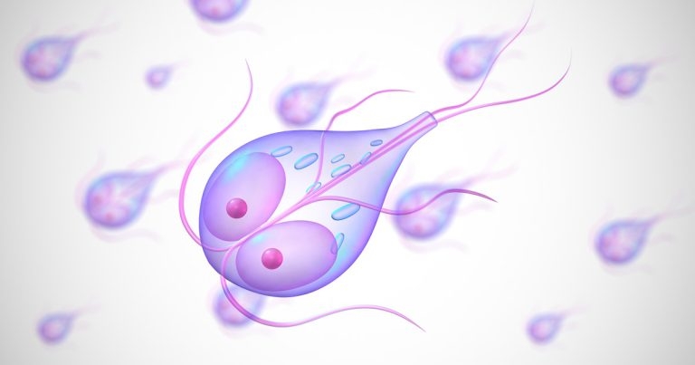 Giardia species and how to approach canine infections