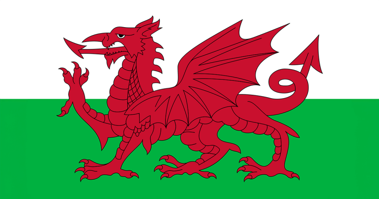 Welsh Parliament committee launches veterinary corporatisation probe