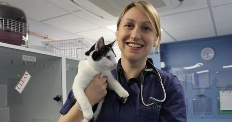 Ep 110: Feline hypertension, with Sam Taylor