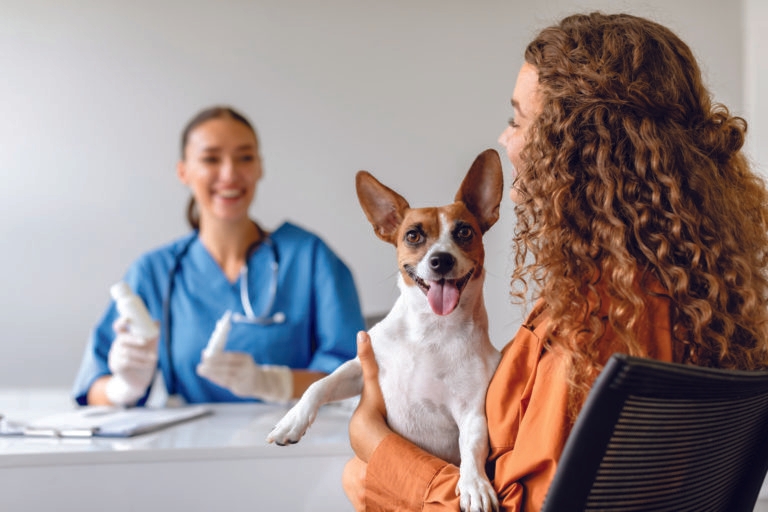 Are you being served? How to deliver great customer service