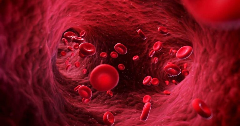 RVC research reveals endothelial cell response differences