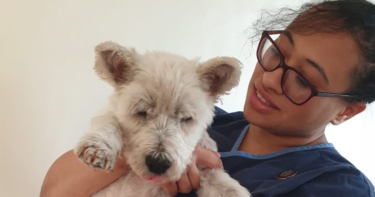 Master’s degree success for RVN