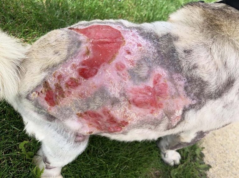 Moist healing – what are the options for difficult cases?